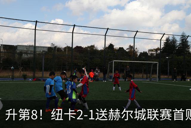 升第8！纽卡2-1送赫尔城联赛首败 巴恩斯2助攻威洛克闪击霍尔破门